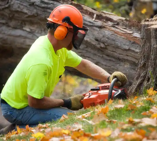 tree services Copiague